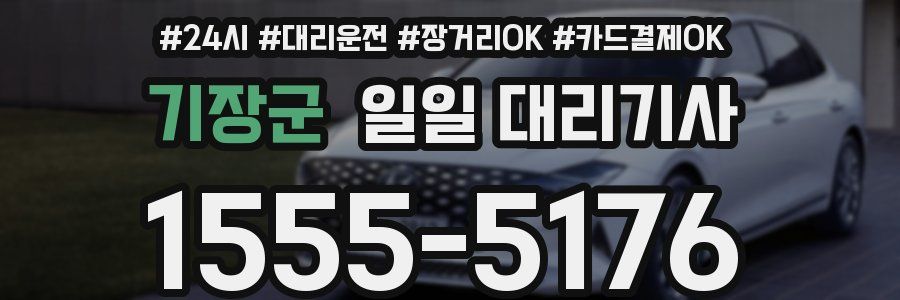 기장군 일일 대리기사