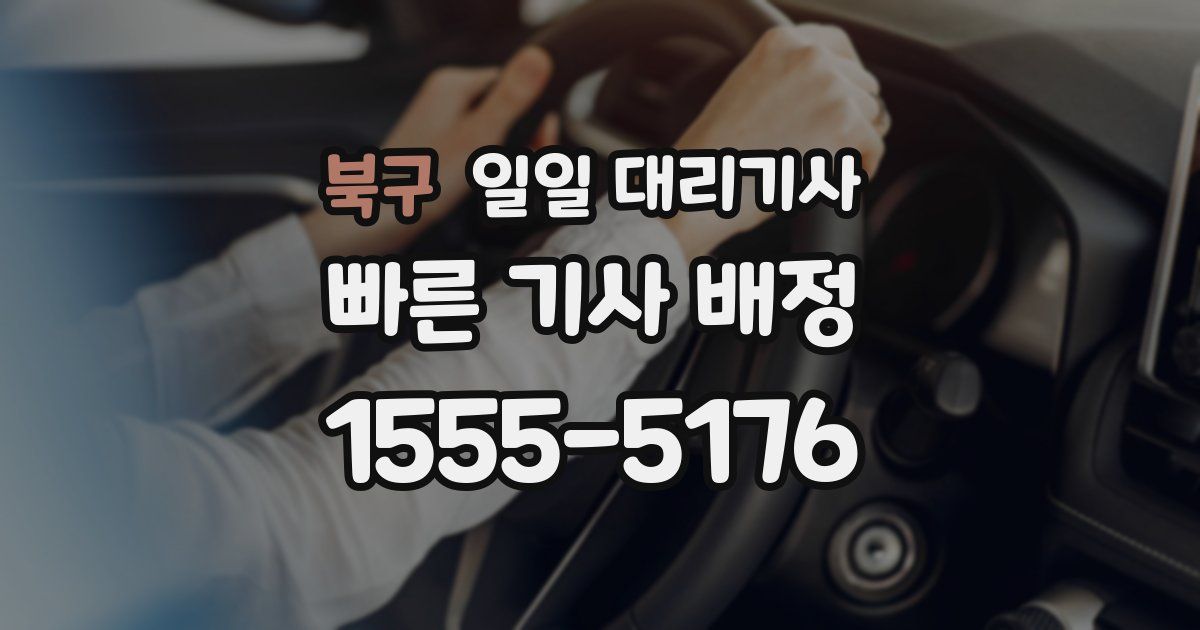 북구 일일 대리기사