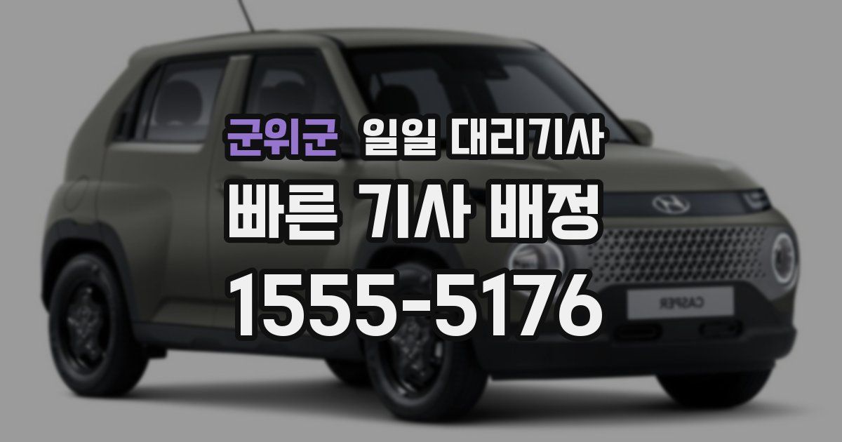 군위군 일일 대리기사