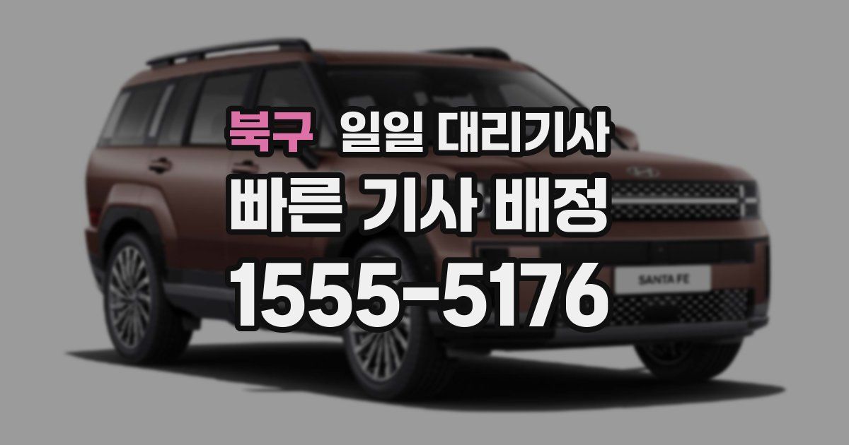 북구 일일 대리기사