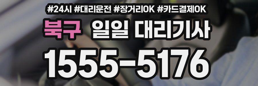 북구 일일 대리기사