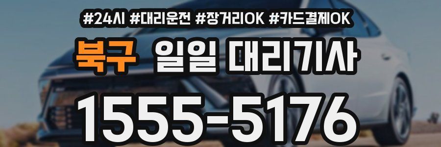 북구 일일 대리기사