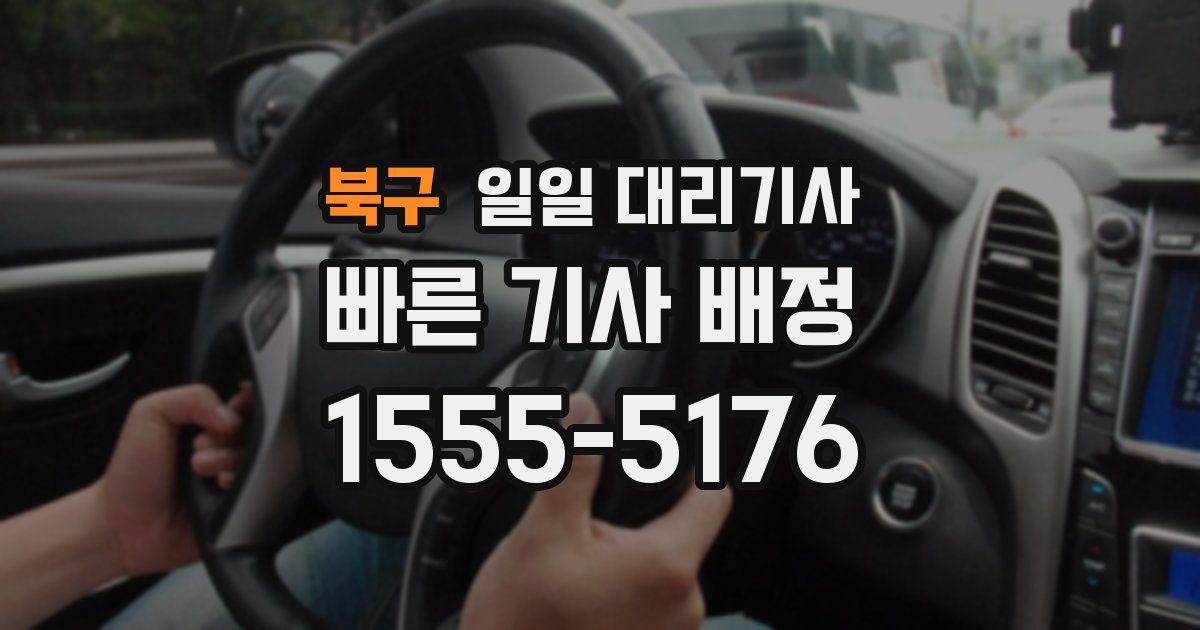 북구 일일 대리기사
