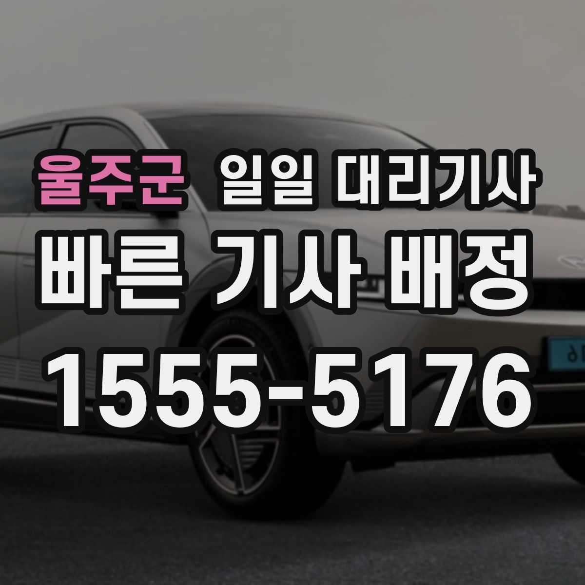 울주군 일일 대리기사