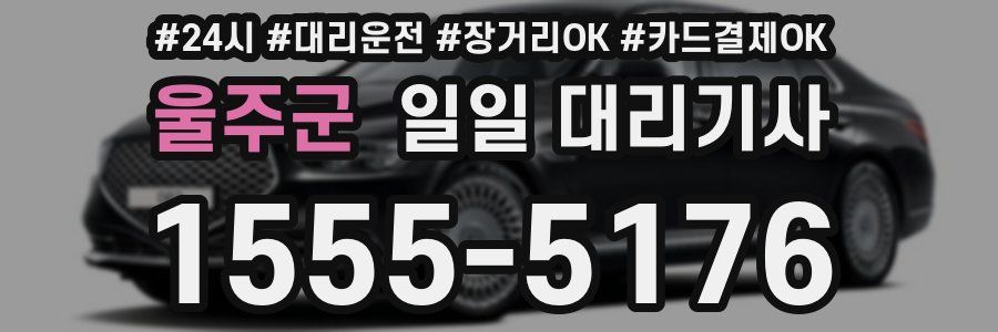 울주군 일일 대리기사