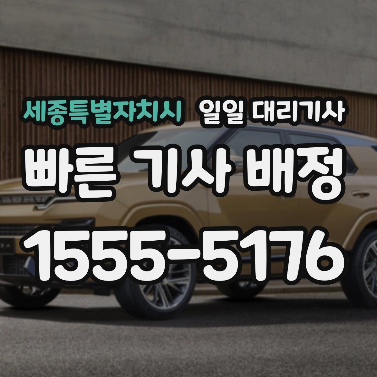 세종특별자치시 일일 대리기사