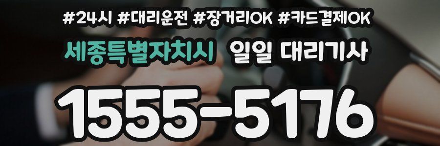 세종특별자치시 일일 대리기사