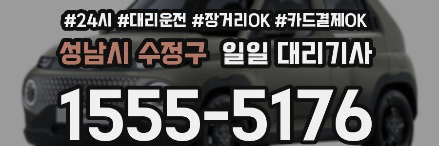 성남시 수정구 일일 대리기사