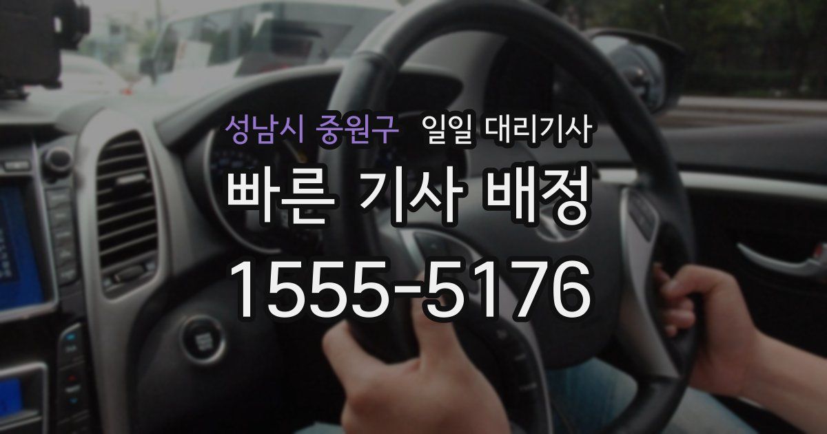 성남시 중원구 일일 대리기사