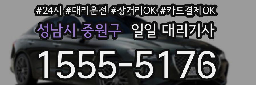 성남시 중원구 일일 대리기사