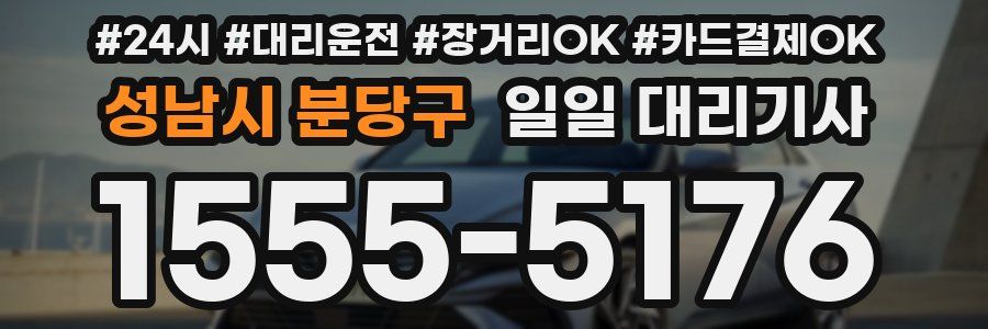 성남시 분당구 일일 대리기사