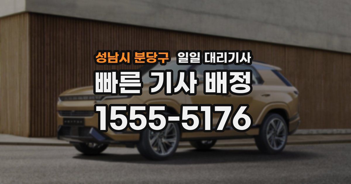 성남시 분당구 일일 대리기사