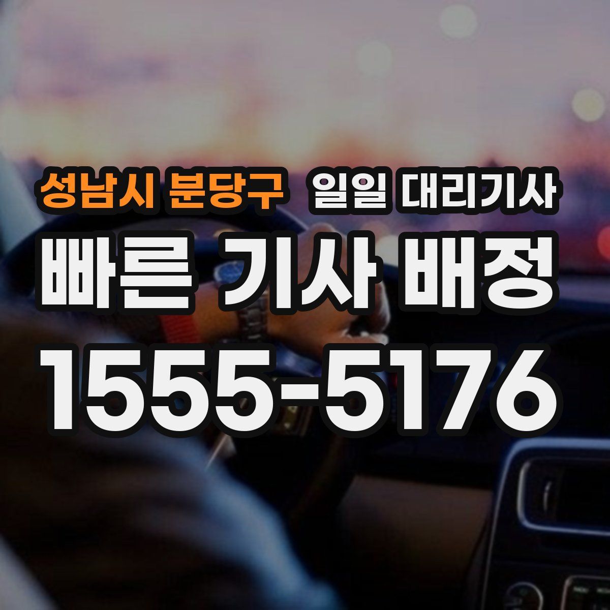 성남시 분당구 일일 대리기사
