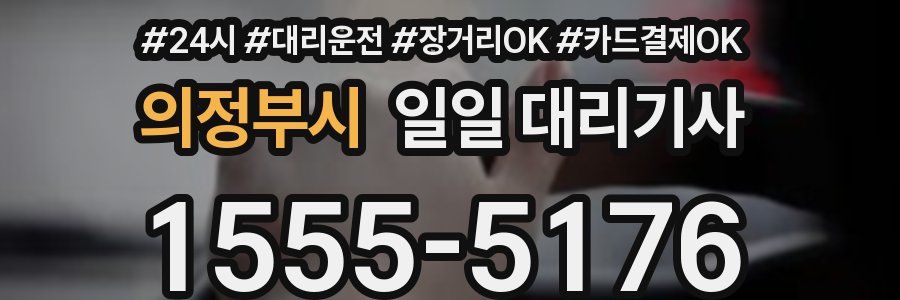 의정부시 일일 대리기사