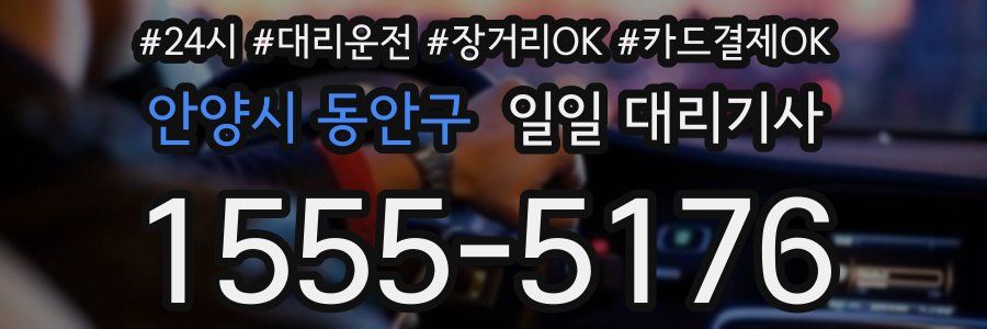 안양시 동안구 일일 대리기사