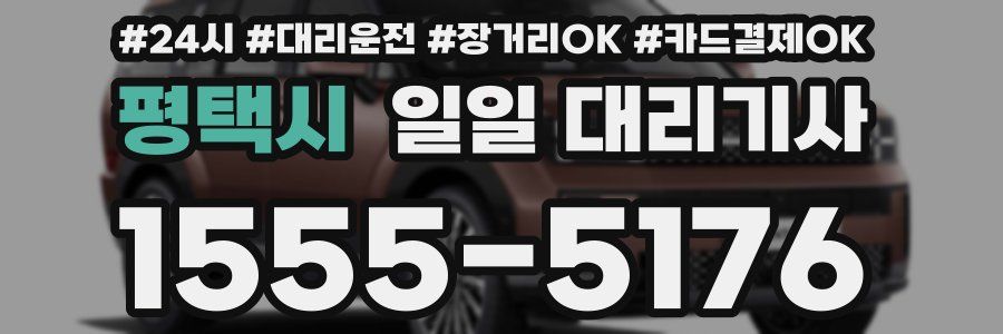 평택시 일일 대리기사
