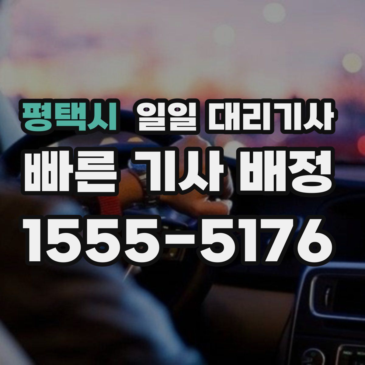 평택시 일일 대리기사