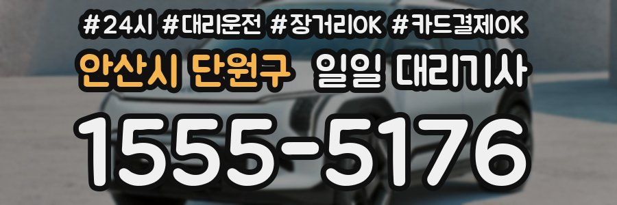 안산시 단원구 일일 대리기사