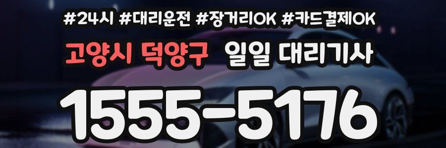 고양시 덕양구 일일 대리기사