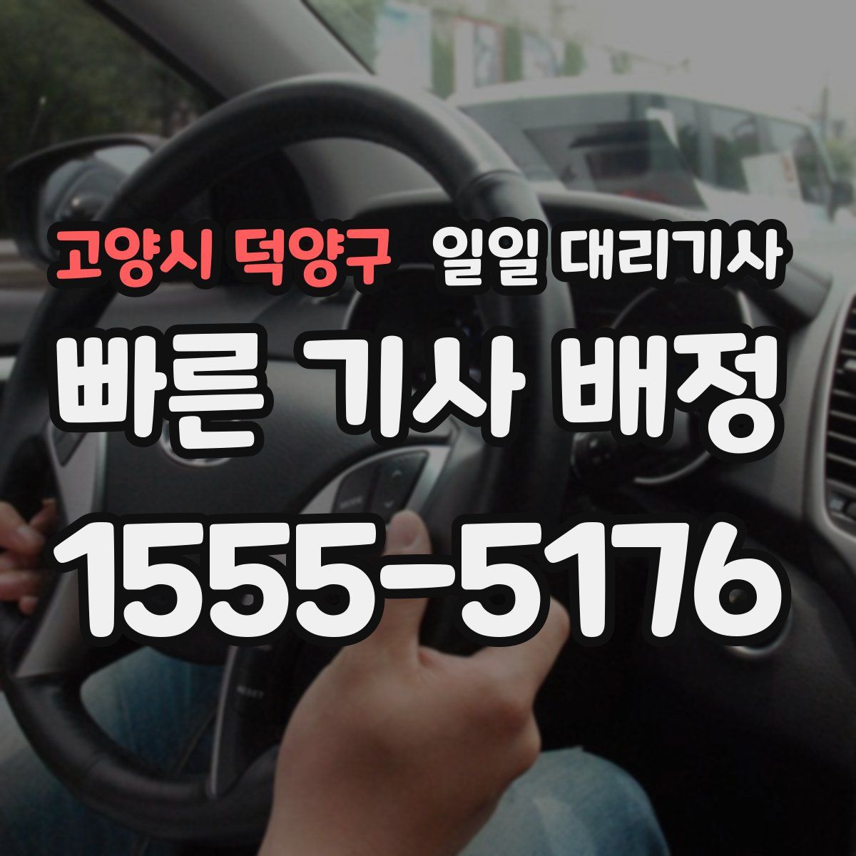 고양시 덕양구 일일 대리기사