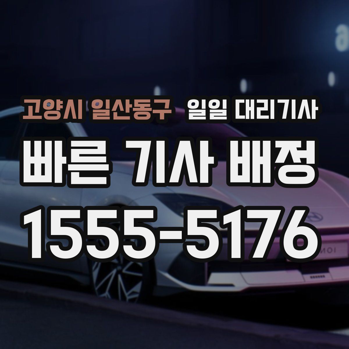 고양시 일산동구 일일 대리기사