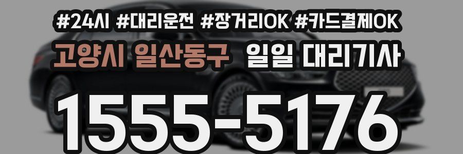 고양시 일산동구 일일 대리기사