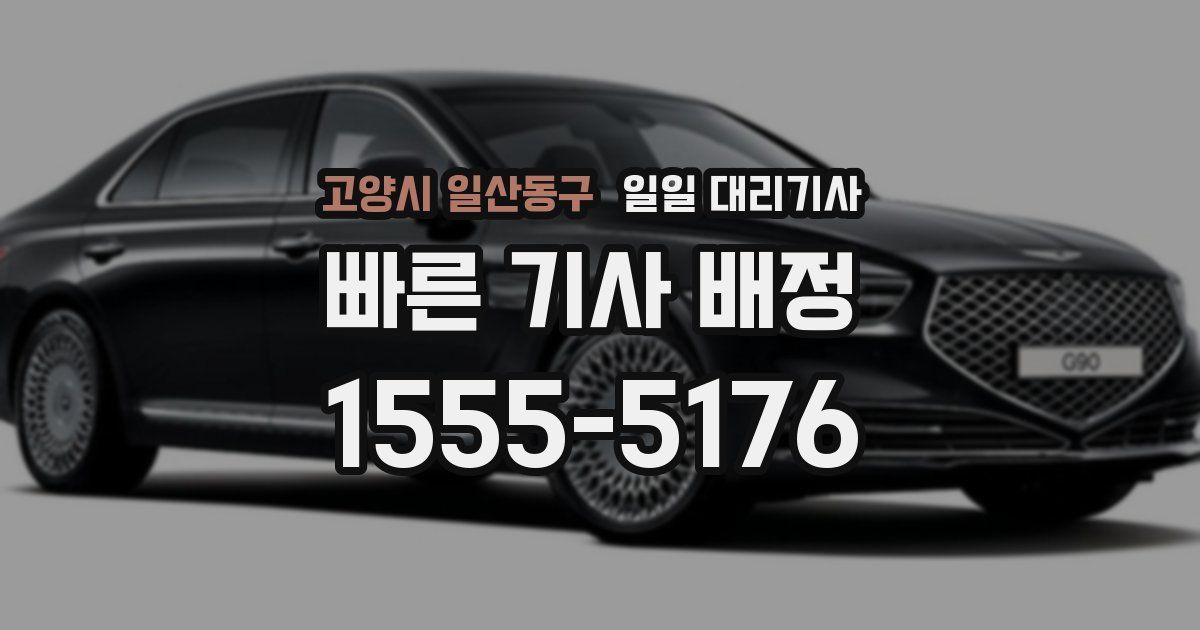 고양시 일산동구 일일 대리기사