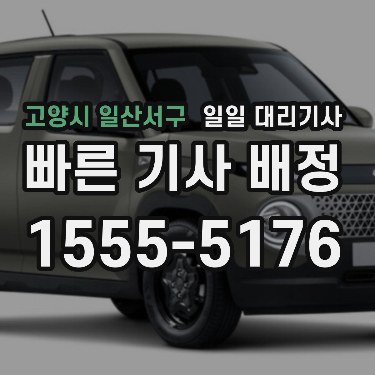 고양시 일산서구 일일 대리기사