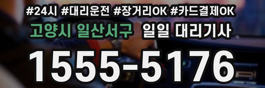 고양시 일산서구 일일 대리기사