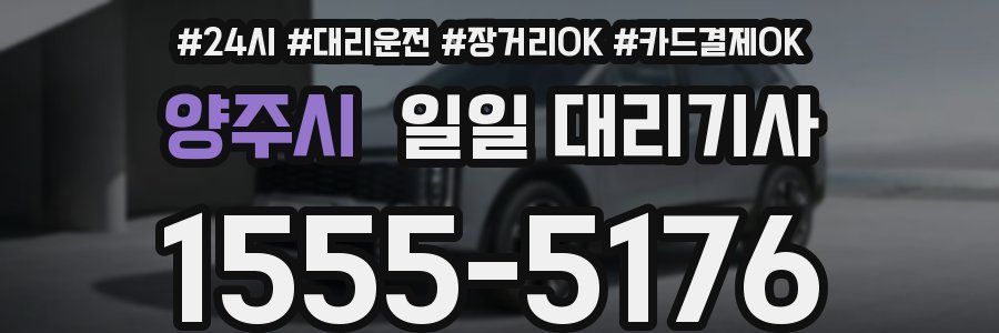 양주시 일일 대리기사