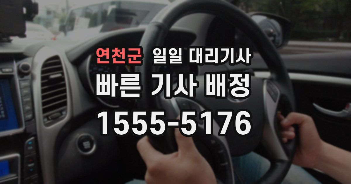 연천군 일일 대리기사