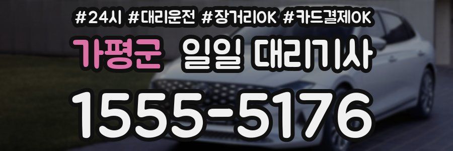 가평군 일일 대리기사