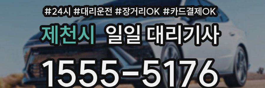 제천시 일일 대리기사