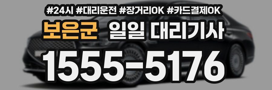 보은군 일일 대리기사