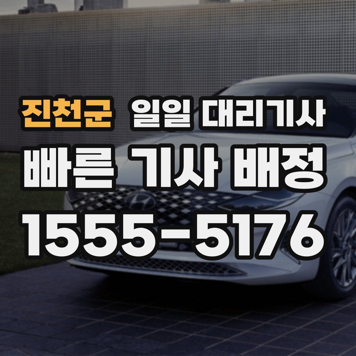 진천군 일일 대리기사