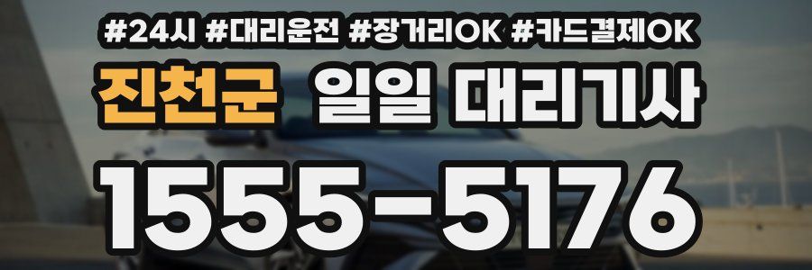 진천군 일일 대리기사