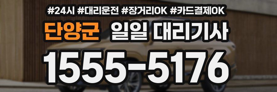 단양군 일일 대리기사