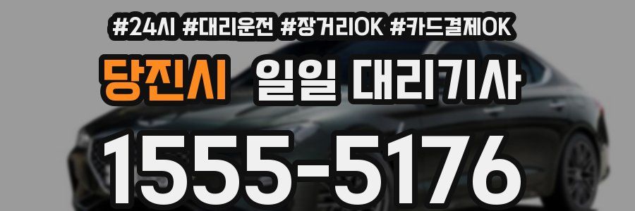 당진시 일일 대리기사