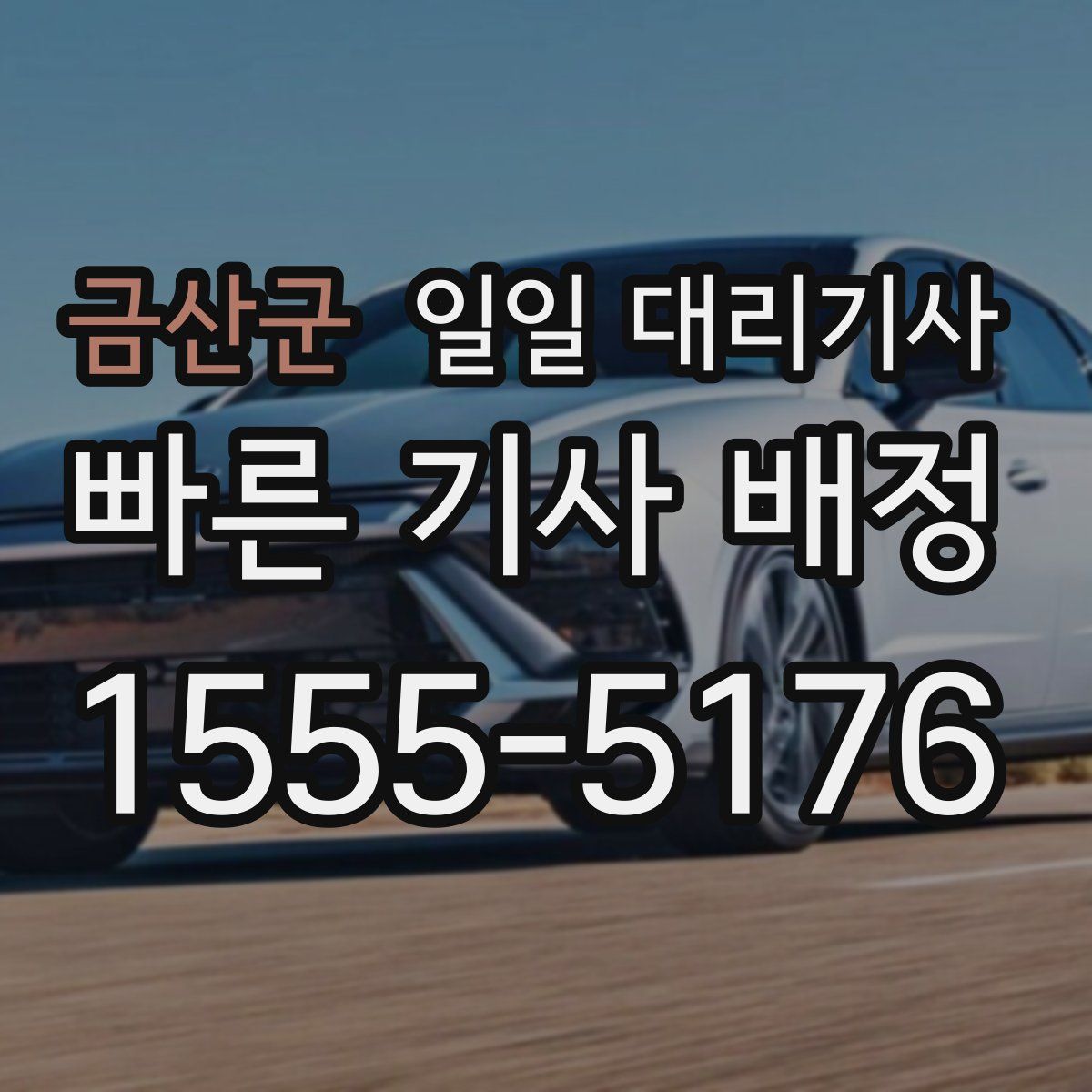 금산군 일일 대리기사
