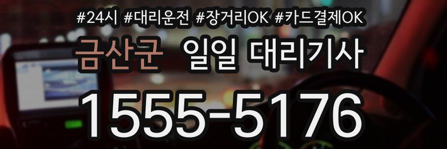 금산군 일일 대리기사