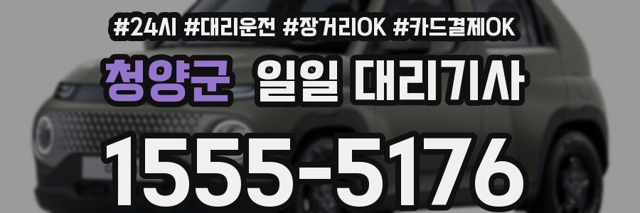 청양군 일일 대리기사