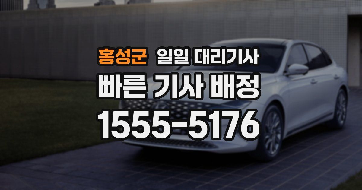 홍성군 일일 대리기사