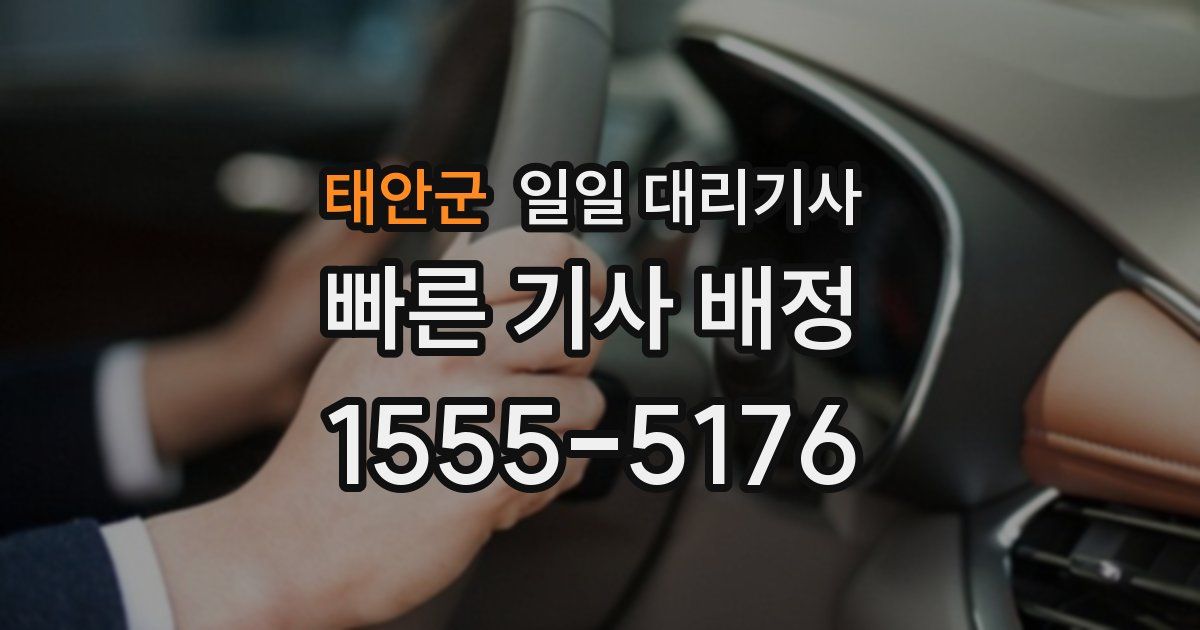 태안군 일일 대리기사