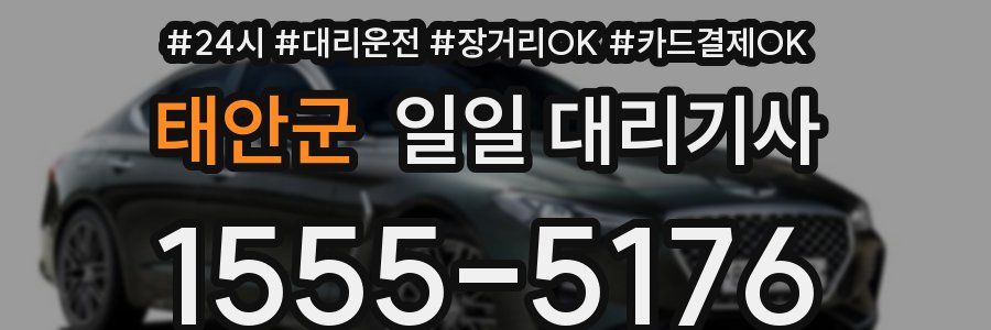 태안군 일일 대리기사