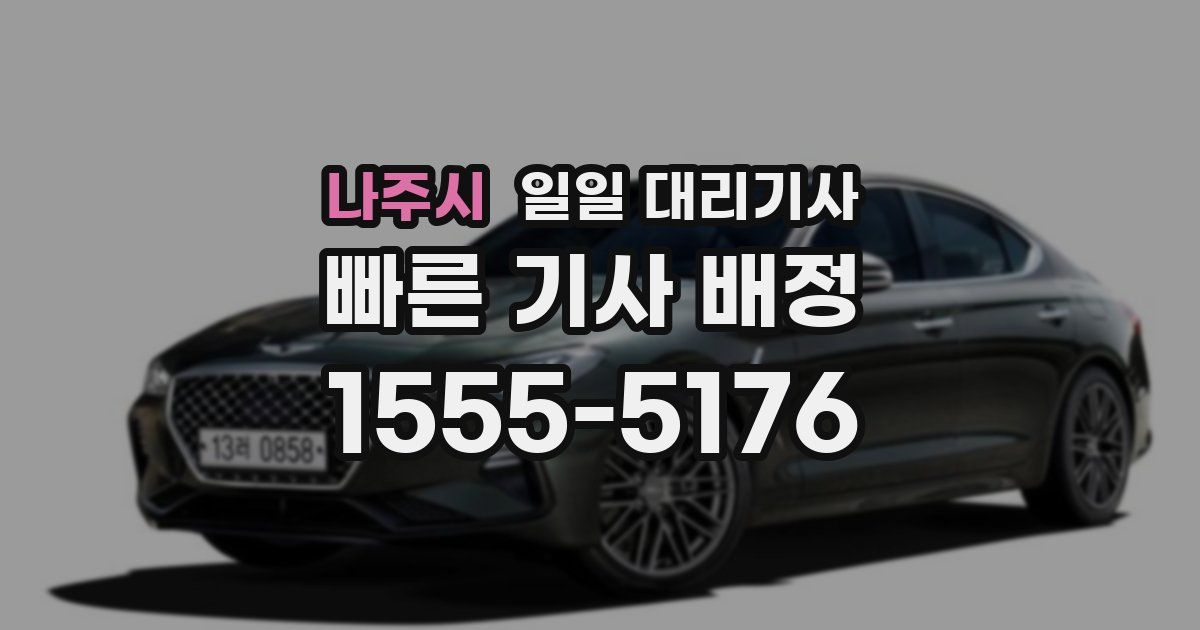 나주시 일일 대리기사