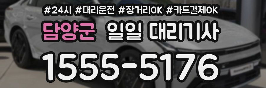 담양군 일일 대리기사