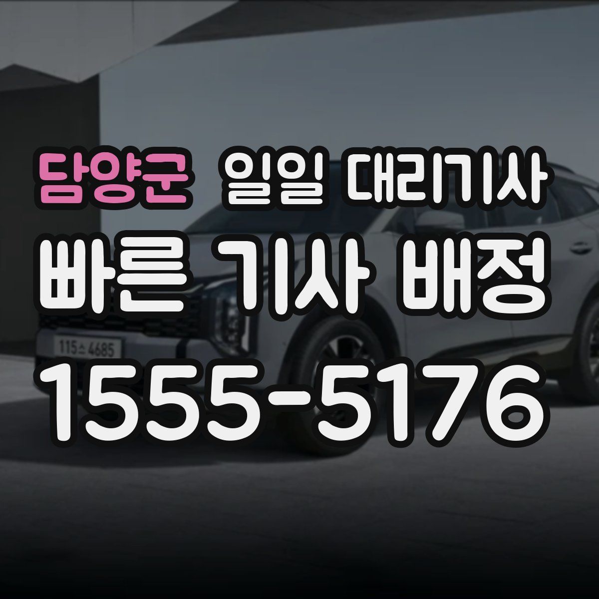 담양군 일일 대리기사