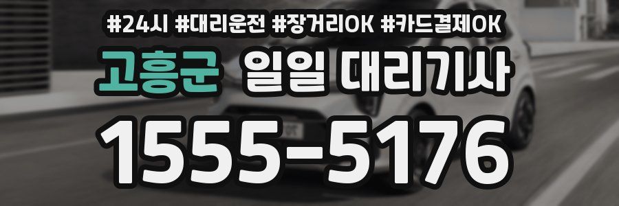 고흥군 일일 대리기사