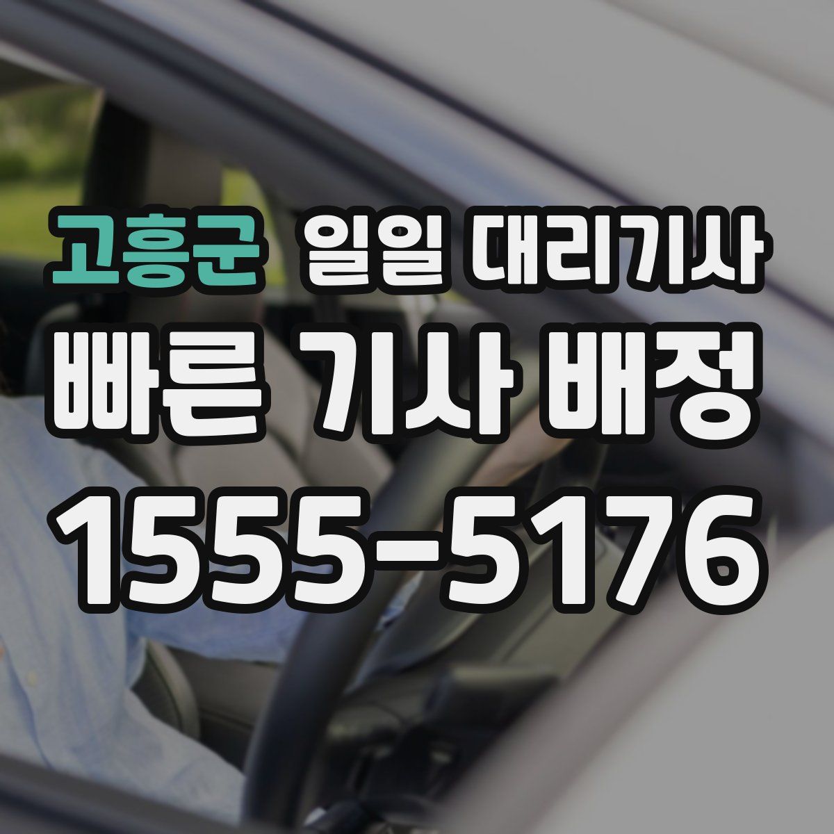 고흥군 일일 대리기사
