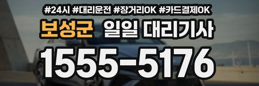 보성군 일일 대리기사